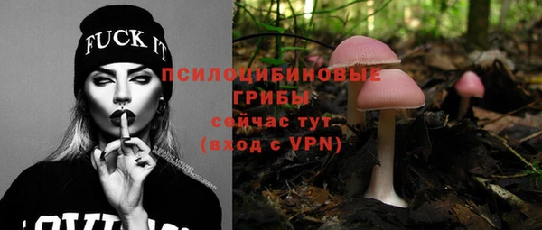 дживик Баксан