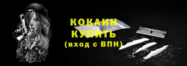 дживик Баксан
