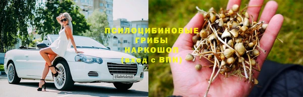 дживик Баксан
