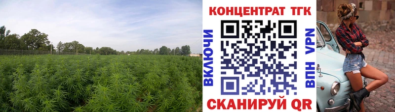 магазин продажи наркотиков  Суворов  мориарти официальный сайт  ТГК вейп с тгк 