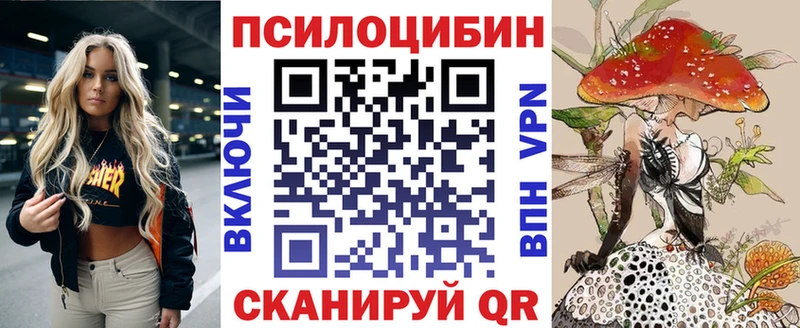 купить   Суворов  Галлюциногенные грибы MAGIC MUSHROOMS 